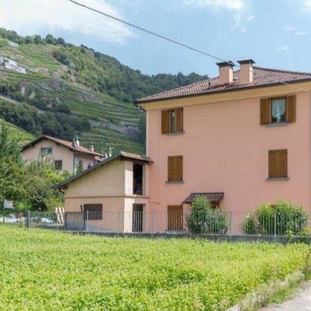 Hotel Joy Valtellina Per Amanti Degli Animali Tresenda Exteriér fotografie