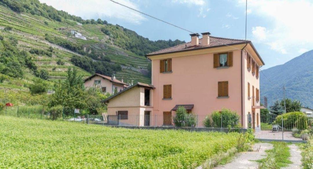 Hotel Joy Valtellina Per Amanti Degli Animali Tresenda Exteriér fotografie
